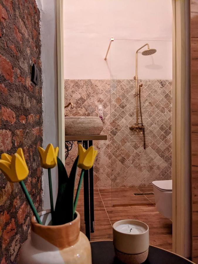 The Industrique Home - 3 Bedroom Apartment Тимишоара Экстерьер фото